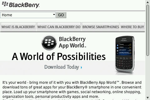 f:id:BlackBerryBold:20090401155153j:image