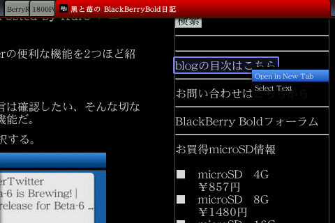 f:id:BlackBerryBold:20091204210706j:image