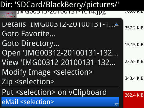 f:id:BlackBerryBold:20100131175851j:image