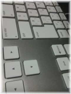 Apple Keyboard (JIS) MB110J/A