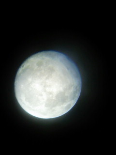 望遠鏡から見る月1