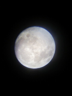 望遠鏡から見る月2