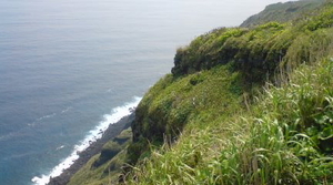 青ヶ島の断崖