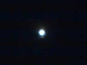 携帯で撮った満月