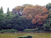 2005年秋　北の丸公園